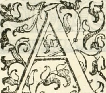 An illustration from I quattro libri dell'architettura di Andrea Palladio : ne' quali, dopò vn breue trattato de' cinque ordini, & di quelli auertimenti, che sono più necesarij nel fabricare : si tratta delle case private, delle vie, de i ponti, delle piazze, de i xisti, & de'tempij, 1616, leaf 245