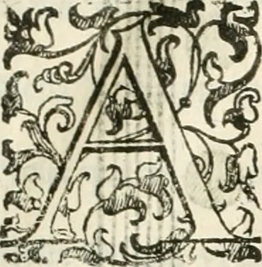 An illustration from I quattro libri dell'architettura di Andrea Palladio : ne' quali, dopò vn breue trattato de' cinque ordini, & di quelli auertimenti, che sono più necesarij nel fabricare : si tratta delle case private, delle vie, de i ponti, delle piazze, de i xisti, & de'tempij, 1616, leaf 252