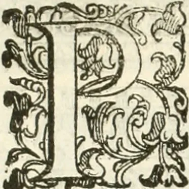 An illustration from I quattro libri dell'architettura di Andrea Palladio : ne' quali, dopò vn breue trattato de' cinque ordini, & di quelli auertimenti, che sono più necesarij nel fabricare : si tratta delle case private, delle vie, de i ponti, delle piazze, de i xisti, & de'tempij, 1616, leaf 261