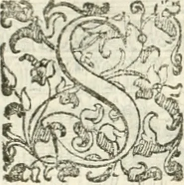 An illustration from I quattro libri dell'architettura di Andrea Palladio : ne' quali, dopò vn breue trattato de' cinque ordini, & di quelli auertimenti, che sono più necesarij nel fabricare : si tratta delle case private, delle vie, de i ponti, delle piazze, de i xisti, & de'tempij, 1616, leaf 267