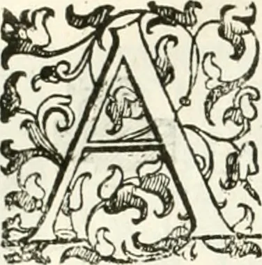 An illustration from I quattro libri dell'architettura di Andrea Palladio : ne' quali, dopò vn breue trattato de' cinque ordini, & di quelli auertimenti, che sono più necesarij nel fabricare : si tratta delle case private, delle vie, de i ponti, delle piazze, de i xisti, & de'tempij, 1616, leaf 287