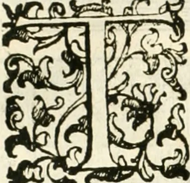 An illustration from I quattro libri dell'architettura di Andrea Palladio : ne' quali, dopò vn breue trattato de' cinque ordini, & di quelli auertimenti, che sono più necesarij nel fabricare : si tratta delle case private, delle vie, de i ponti, delle piazze, de i xisti, & de'tempij, 1616, leaf 295