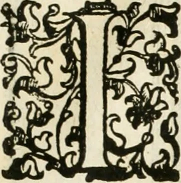 An illustration from I quattro libri dell'architettura di Andrea Palladio : ne' quali, dopò vn breue trattato de' cinque ordini, & di quelli auertimenti, che sono più necesarij nel fabricare : si tratta delle case private, delle vie, de i ponti, delle piazze, de i xisti, & de'tempij, 1616, leaf 300