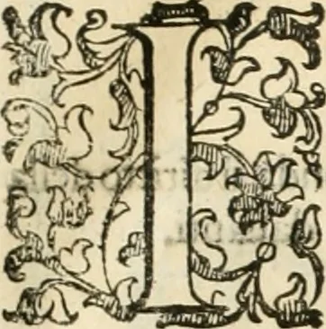 An illustration from I quattro libri dell'architettura di Andrea Palladio : ne' quali, dopò vn breue trattato de' cinque ordini, & di quelli auertimenti, che sono più necesarij nel fabricare : si tratta delle case private, delle vie, de i ponti, delle piazze, de i xisti, & de'tempij, 1616, leaf 308