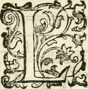 An illustration from I quattro libri dell'architettura di Andrea Palladio : ne' quali, dopò vn breue trattato de' cinque ordini, & di quelli auertimenti, che sono più necesarij nel fabricare : si tratta delle case private, delle vie, de i ponti, delle piazze, de i xisti, & de'tempij, 1616, leaf 31