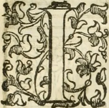 An illustration from I quattro libri dell'architettura di Andrea Palladio : ne' quali, dopò vn breue trattato de' cinque ordini, & di quelli auertimenti, che sono più necesarij nel fabricare : si tratta delle case private, delle vie, de i ponti, delle piazze, de i xisti, & de'tempij, 1616, leaf 40