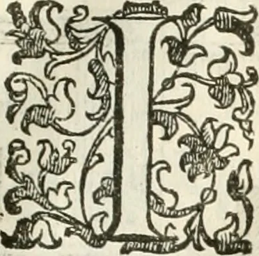 An illustration from I quattro libri dell'architettura di Andrea Palladio : ne' quali, dopò vn breue trattato de' cinque ordini, & di quelli auertimenti, che sono più necesarij nel fabricare : si tratta delle case private, delle vie, de i ponti, delle piazze, de i xisti, & de'tempij, 1616, leaf 98
