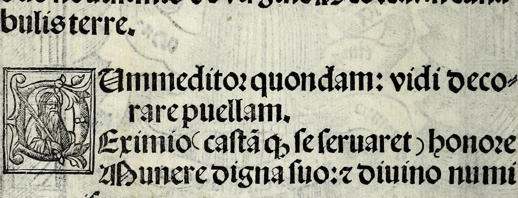 An illustration from Quattuor hic compressa opuscula, 1520, leaf 30