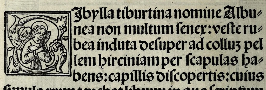 An illustration from Quattuor hic compressa opuscula, 1520, leaf 36