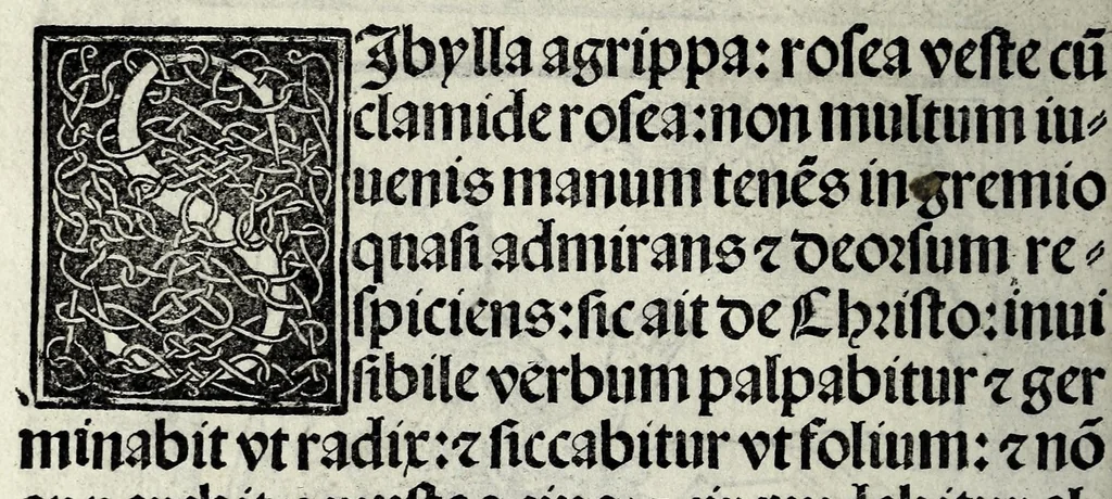An illustration from Quattuor hic compressa opuscula, 1520, leaf 38