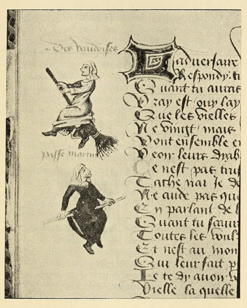 An illustration from Quellen und Untersuchungen zur Geschichte des Hexenwahns und der Hexenverfolgung im Mittelalter, 1901, leaf 117