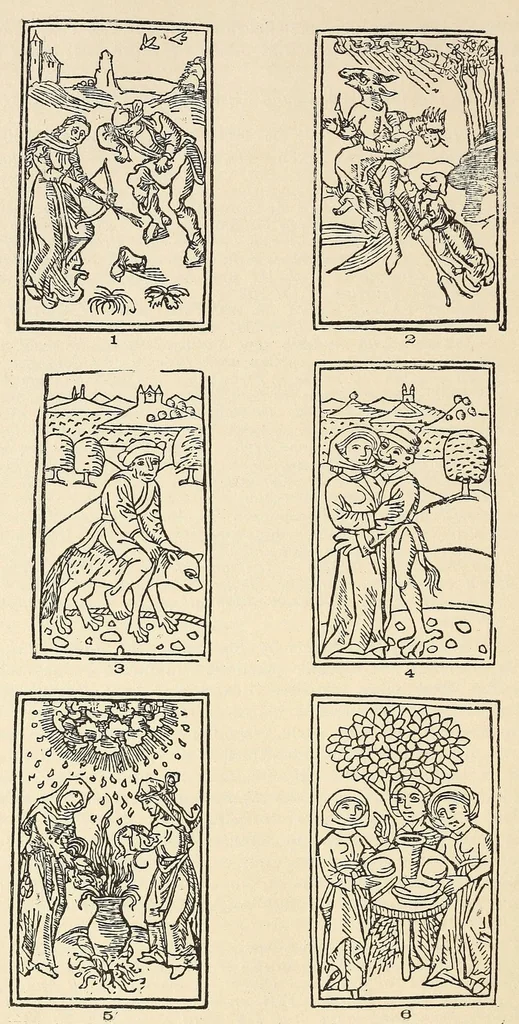 An illustration from Quellen und Untersuchungen zur Geschichte des Hexenwahns und der Hexenverfolgung im Mittelalter, 1901, leaf 260
