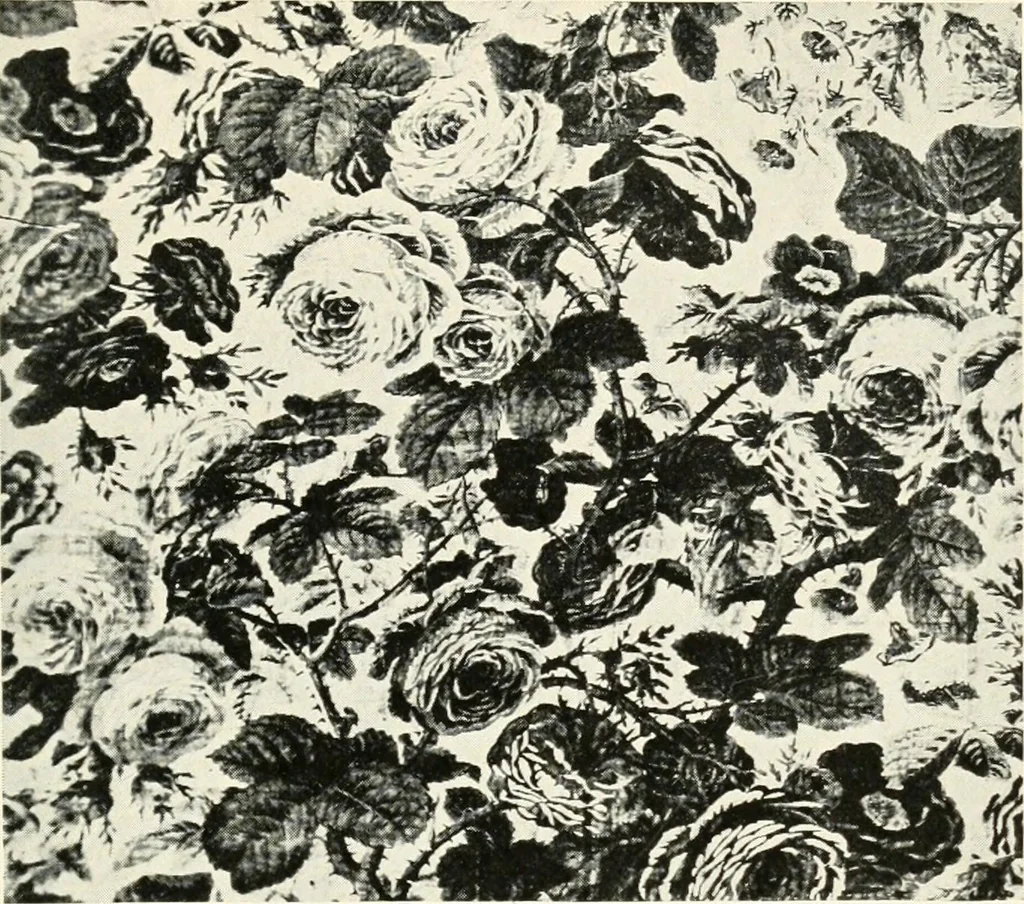An illustration from The quest of the quaint, 1916, leaf 206