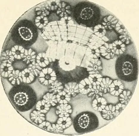 An illustration from The quest of the quaint, 1916, leaf 278