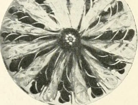 An illustration from The quest of the quaint, 1916, leaf 278