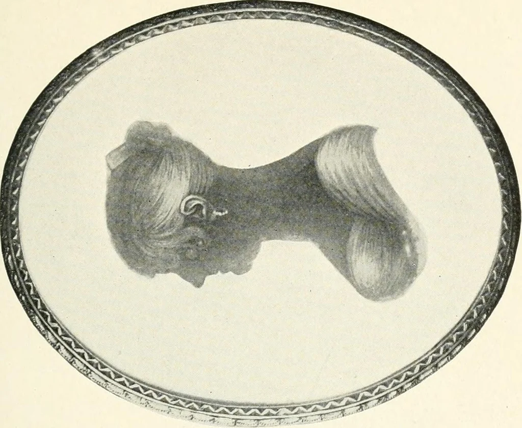 An illustration from The quest of the quaint, 1916, leaf 54