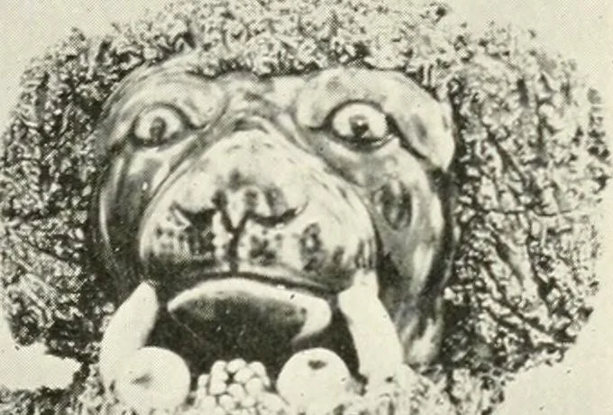 An illustration from The quest of the quaint, 1916, leaf 80