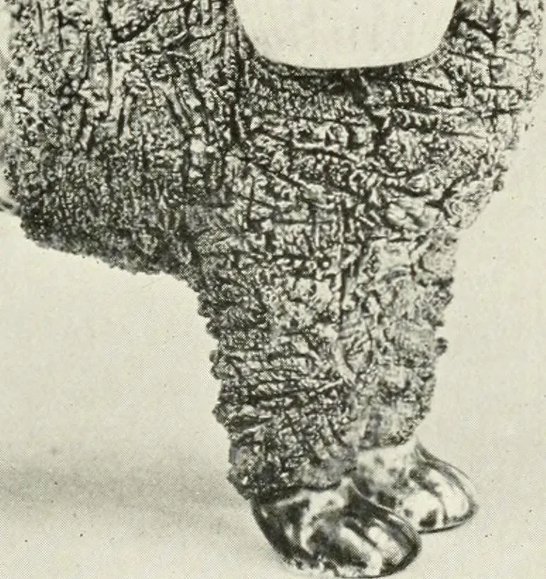 An illustration from The quest of the quaint, 1916, leaf 80