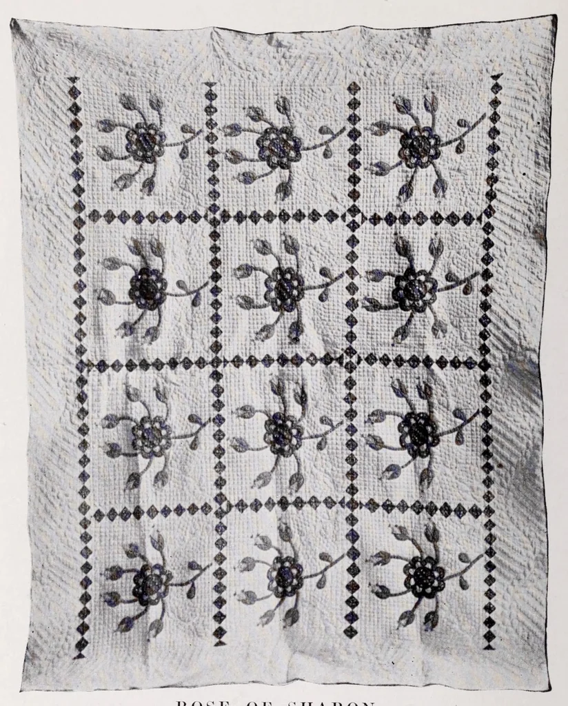 An illustration from Quilts, their story and how to make them, 1915, leaf 188