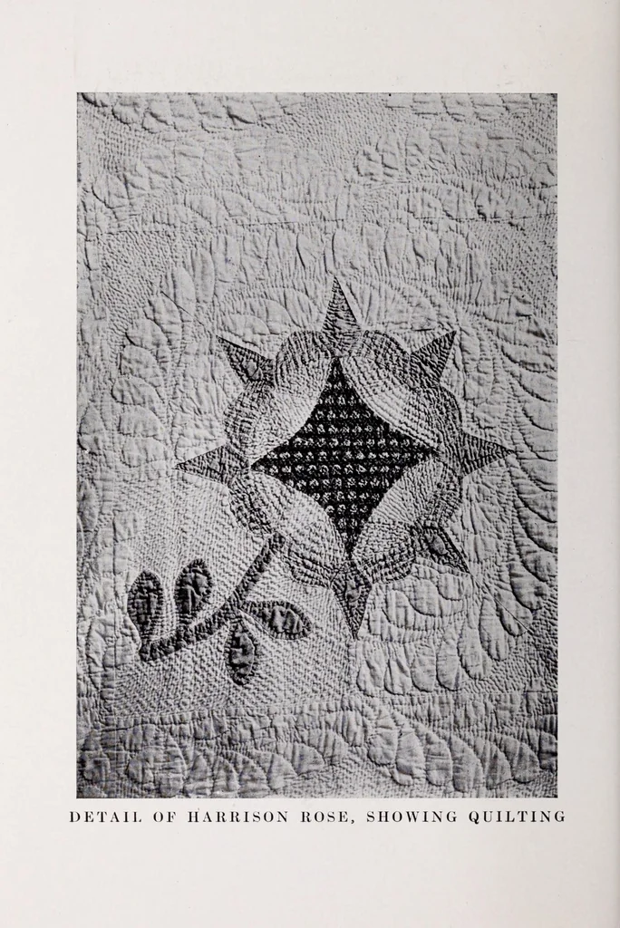 An illustration from Quilts, their story and how to make them, 1915, leaf 236
