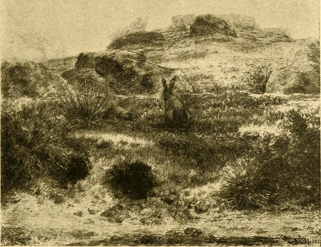 An illustration from Quincy Adams Shaw collection : Italian Renaissance sculpturee : paintings and pastels by Jean François Millet : exhibition opening April 18, 1918, 1918, leaf 104