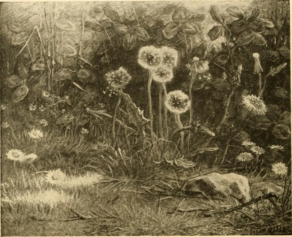 An illustration from Quincy Adams Shaw collection : Italian Renaissance sculpturee : paintings and pastels by Jean François Millet : exhibition opening April 18, 1918, 1918, leaf 105