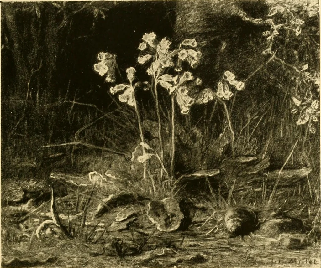 An illustration from Quincy Adams Shaw collection : Italian Renaissance sculpturee : paintings and pastels by Jean François Millet : exhibition opening April 18, 1918, 1918, leaf 106