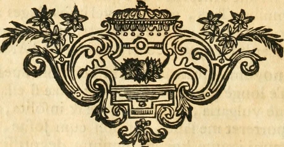 An illustration from Quinquagena symbolica, in praecipua capita, et dogmata sacrae regulae SS. monachorum patris & legislatoris Benedicti, omnium justorum spiritu pleni : tanquam vera effigies reverendissimi perillustris ac amplissimi domini, domini Chrysostomi ... : inter ipsa sacerdotij Jubilei solemnia die 23. Julij orbi exhibita ab eXVLtantIbVs DeVotIs LILIgerI greMII sVI fILIIs : inseritur Conspectus edendorum fastorum campililiensium, 1741, leaf 29