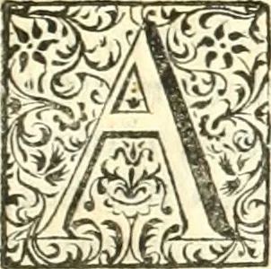 An illustration from Quinquagena symbolica, in praecipua capita, et dogmata sacrae regulae SS. monachorum patris & legislatoris Benedicti, omnium justorum spiritu pleni : tanquam vera effigies reverendissimi perillustris ac amplissimi domini, domini Chrysostomi ... : inter ipsa sacerdotij Jubilei solemnia die 23. Julij orbi exhibita ab eXVLtantIbVs DeVotIs LILIgerI greMII sVI fILIIs : inseritur Conspectus edendorum fastorum campililiensium, 1741, leaf 30