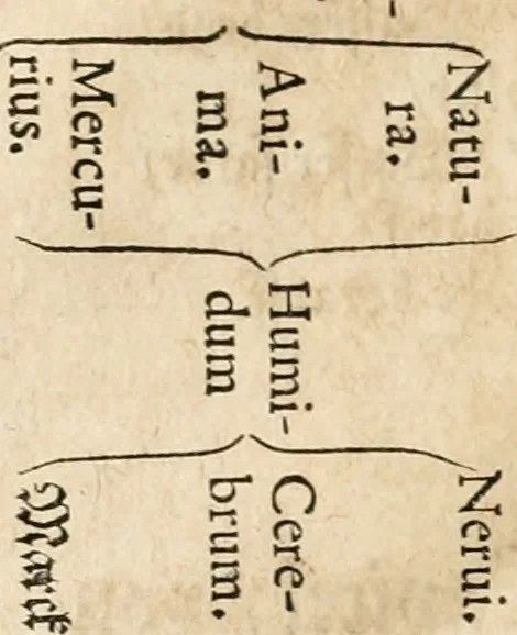 An illustration from Quinta essentia, das ist, Die höchste Subtilitet, Krafft vnd Wirckung, beyder der fürtrefflichsten, vnd menschlichem Geschlecht am nützlichsten Künsten, der Medicin vnd Alchemy : auch wie nahe diese beyde mit Sipschafft gefreund vnd verwandt sind, vnd das eine ohn beystandt der andern nicht nütz sey, oder in den menschlichen Cörpern zu wircken kein Krafft habe : Vergleichung der alten und newen Medicin, vnd wie alle Subtiliteten ausgezogen, die Element geschieden, alle Corpora gemutirt ... : jetzt von newem, sampt Eröffnung der vertunckelten Sententz, Wort vnd Namen, gemehret vnd gebessert, 1574, leaf 121
