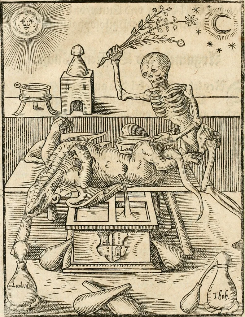 An illustration from Quinta essentia, das ist, Die höchste Subtilitet, Krafft vnd Wirckung, beyder der fürtrefflichsten, vnd menschlichem Geschlecht am nützlichsten Künsten, der Medicin vnd Alchemy : auch wie nahe diese beyde mit Sipschafft gefreund vnd verwandt sind, vnd das eine ohn beystandt der andern nicht nütz sey, oder in den menschlichen Cörpern zu wircken kein Krafft habe : Vergleichung der alten und newen Medicin, vnd wie alle Subtiliteten ausgezogen, die Element geschieden, alle Corpora gemutirt ... : jetzt von newem, sampt Eröffnung der vertunckelten Sententz, Wort vnd Namen, gemehret vnd gebessert, 1574, leaf 185