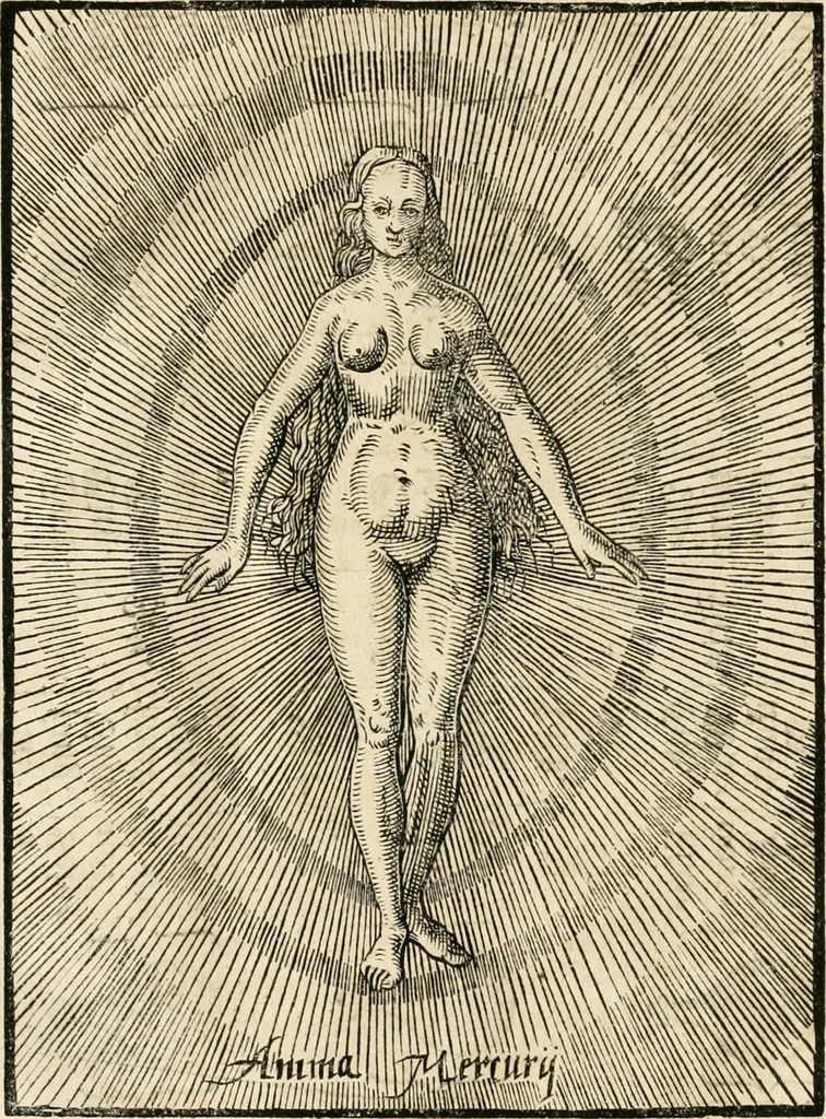 An illustration from Quinta essentia, das ist, Die höchste Subtilitet, Krafft vnd Wirckung, beyder der fürtrefflichsten, vnd menschlichem Geschlecht am nützlichsten Künsten, der Medicin vnd Alchemy : auch wie nahe diese beyde mit Sipschafft gefreund vnd verwandt sind, vnd das eine ohn beystandt der andern nicht nütz sey, oder in den menschlichen Cörpern zu wircken kein Krafft habe : Vergleichung der alten und newen Medicin, vnd wie alle Subtiliteten ausgezogen, die Element geschieden, alle Corpora gemutirt ... : jetzt von newem, sampt Eröffnung der vertunckelten Sententz, Wort vnd Namen, gemehret vnd gebessert, 1574, leaf 95