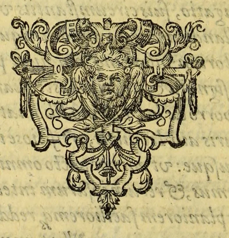 An illustration from Quinta pars Indiae Orientalis: Quâ continetur vera & accurata descriptio vniuersae nauigationis illius, quam Hollandi cum octonis nauibus in terras orientales, praecipuè verò in Iauanas & Moluccanas Insulas, Bantam, Bandam & Ternatem, &c. susceperunt: : qui An. 1598. Amstelredamo soluentes, partim postero anno 1599. partim hunc sequente 1600 cum ingentibus diuitiis, piperis nucum myristicarum, garyophyllorum, & caeterorum pretiosorum aromatum, feliciter confecto itinere redierunt: vbi iuxtà, quaecunque in itinere ab ipsis gesta, visa & obseruata sunt, sigillatim percensentur., 1601, leaf 12