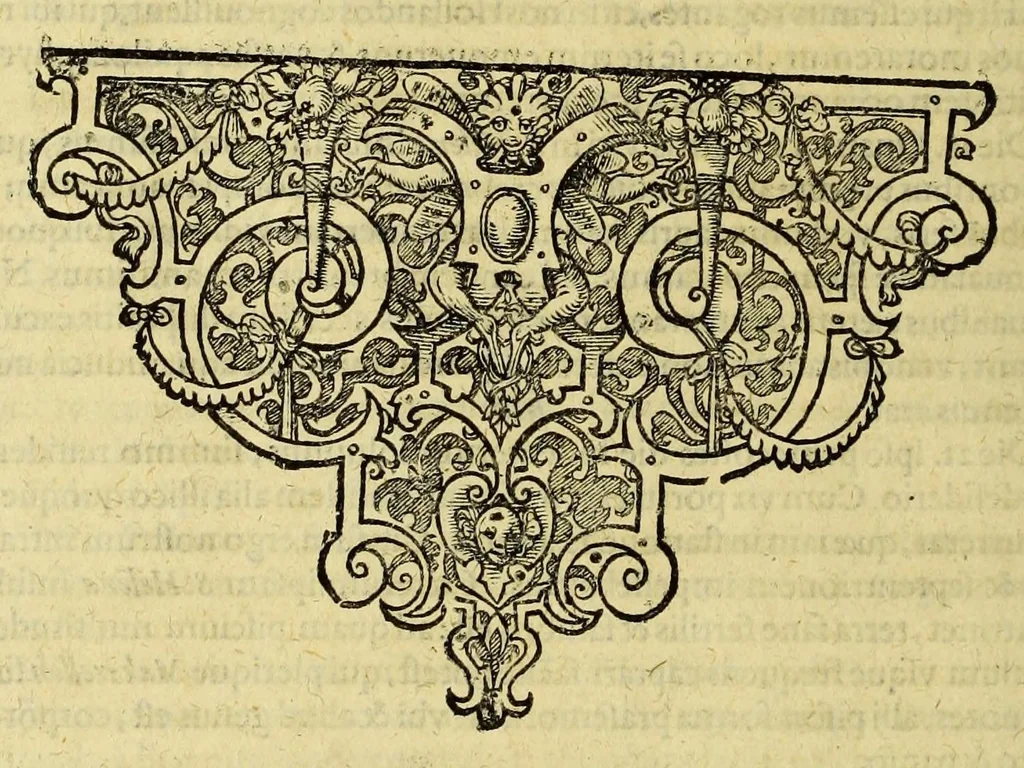 An illustration from Quinta pars Indiae Orientalis: Quâ continetur vera & accurata descriptio vniuersae nauigationis illius, quam Hollandi cum octonis nauibus in terras orientales, praecipuè verò in Iauanas & Moluccanas Insulas, Bantam, Bandam & Ternatem, &c. susceperunt: : qui An. 1598. Amstelredamo soluentes, partim postero anno 1599. partim hunc sequente 1600 cum ingentibus diuitiis, piperis nucum myristicarum, garyophyllorum, & caeterorum pretiosorum aromatum, feliciter confecto itinere redierunt: vbi iuxtà, quaecunque in itinere ab ipsis gesta, visa & obseruata sunt, sigillatim percensentur., 1601, leaf 70
