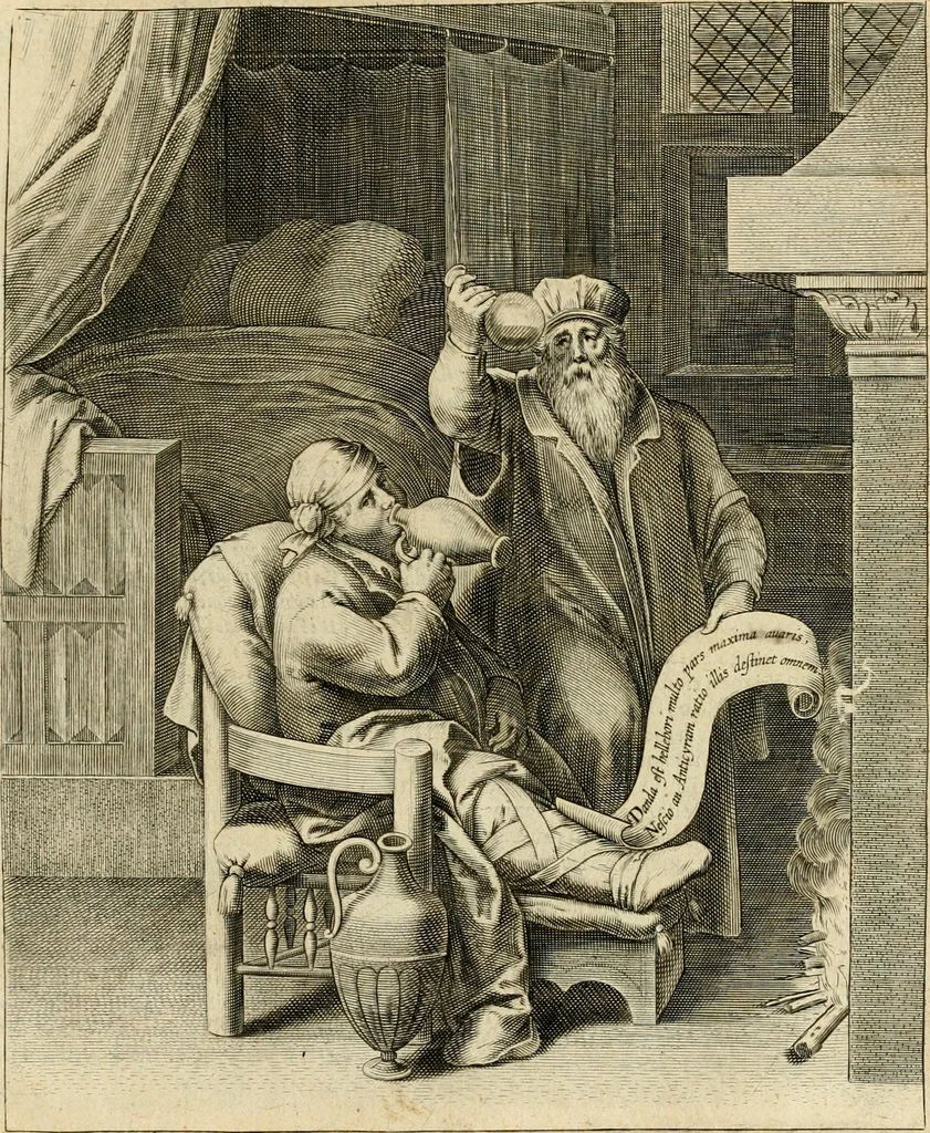 An illustration from Quinti Horatij Flacci Emblemata : imaginibus in aes incisis, notis[que] illustrata, 1612, leaf 114