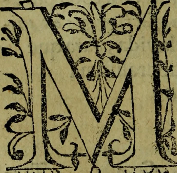 An illustration from Quinze tratados : en los quales se contienen muchas y muy excelentes consideraciones para los actos generales que se celebran en la sancta iglesia de Dios, muy provechosos para todos los fieles christianos, 1602, leaf 113