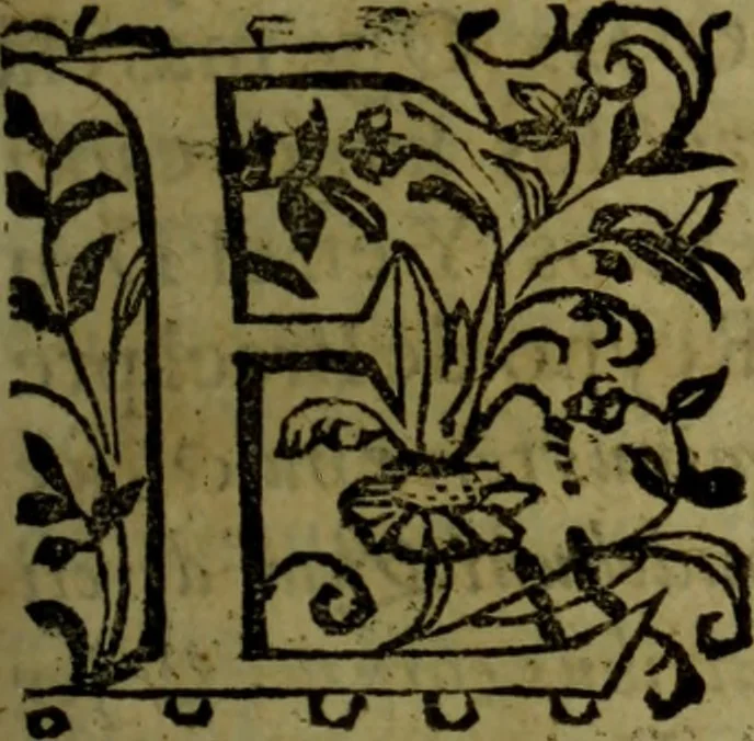 An illustration from Quinze tratados : en los quales se contienen muchas y muy excelentes consideraciones para los actos generales que se celebran en la sancta iglesia de Dios, muy provechosos para todos los fieles christianos, 1602, leaf 170