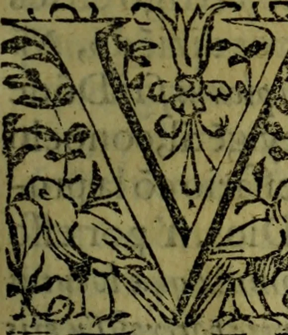 An illustration from Quinze tratados : en los quales se contienen muchas y muy excelentes consideraciones para los actos generales que se celebran en la sancta iglesia de Dios, muy provechosos para todos los fieles christianos, 1602, leaf 192