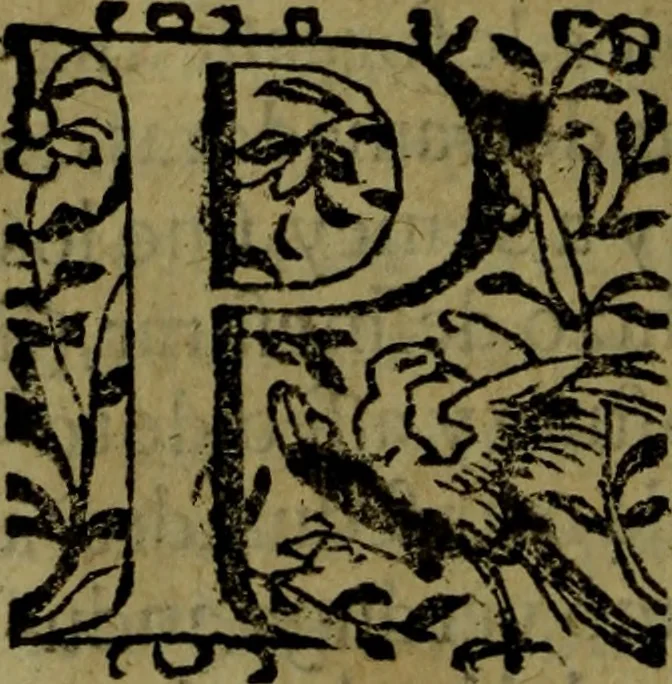 An illustration from Quinze tratados : en los quales se contienen muchas y muy excelentes consideraciones para los actos generales que se celebran en la sancta iglesia de Dios, muy provechosos para todos los fieles christianos, 1602, leaf 217