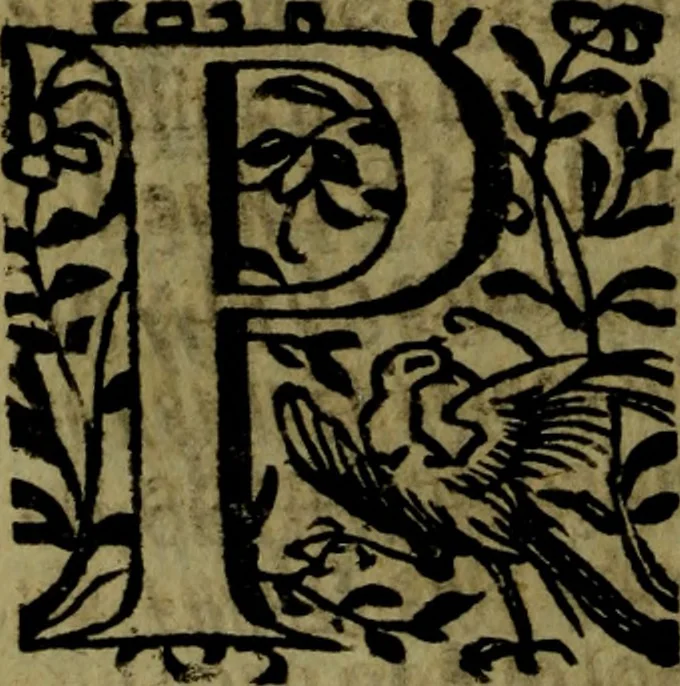 An illustration from Quinze tratados : en los quales se contienen muchas y muy excelentes consideraciones para los actos generales que se celebran en la sancta iglesia de Dios, muy provechosos para todos los fieles christianos, 1602, leaf 297