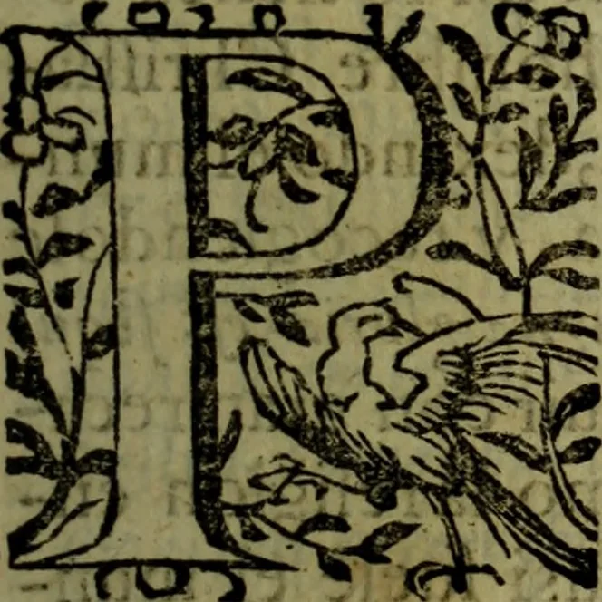 An illustration from Quinze tratados : en los quales se contienen muchas y muy excelentes consideraciones para los actos generales que se celebran en la sancta iglesia de Dios, muy provechosos para todos los fieles christianos, 1602, leaf 366
