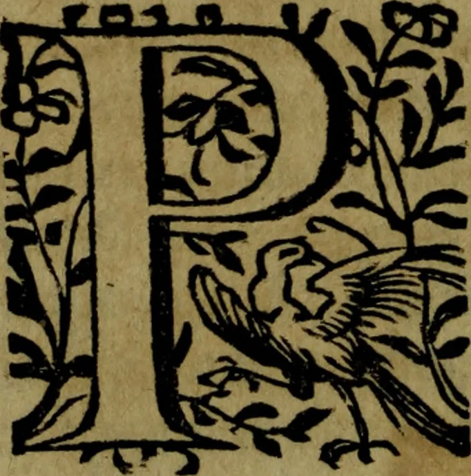 An illustration from Quinze tratados : en los quales se contienen muchas y muy excelentes consideraciones para los actos generales que se celebran en la sancta iglesia de Dios, muy provechosos para todos los fieles christianos, 1602, leaf 405