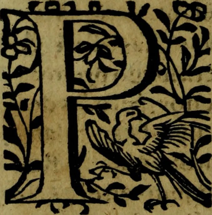 An illustration from Quinze tratados : en los quales se contienen muchas y muy excelentes consideraciones para los actos generales que se celebran en la sancta iglesia de Dios, muy provechosos para todos los fieles christianos, 1602, leaf 453