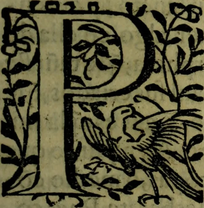 An illustration from Quinze tratados : en los quales se contienen muchas y muy excelentes consideraciones para los actos generales que se celebran en la sancta iglesia de Dios, muy provechosos para todos los fieles christianos, 1602, leaf 530