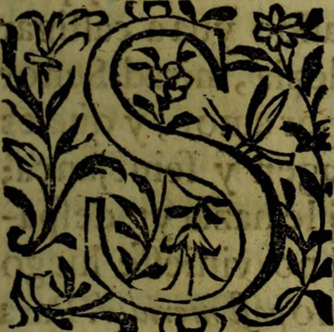 An illustration from Quinze tratados : en los quales se contienen muchas y muy excelentes consideraciones para los actos generales que se celebran en la sancta iglesia de Dios, muy provechosos para todos los fieles christianos, 1602, leaf 554