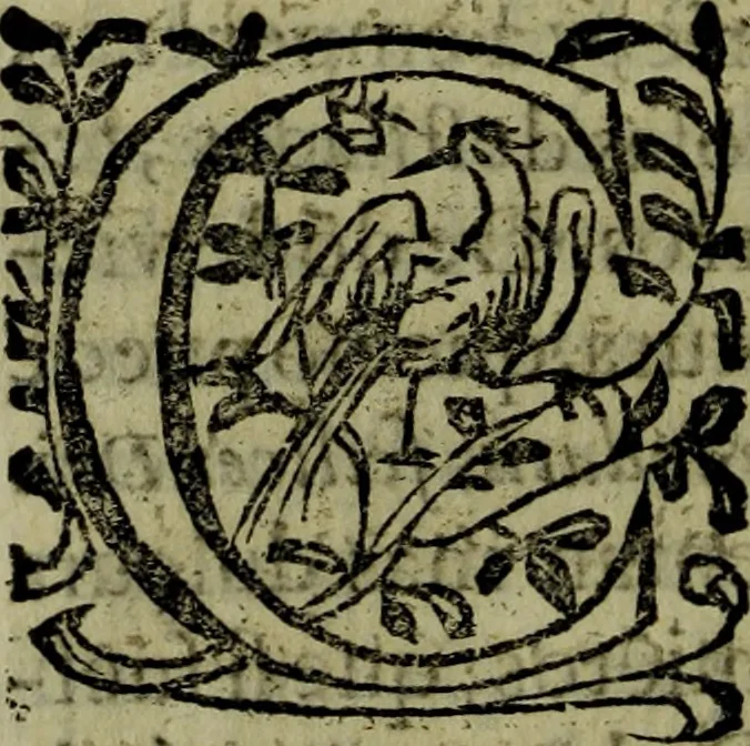 An illustration from Quinze tratados : en los quales se contienen muchas y muy excelentes consideraciones para los actos generales que se celebran en la sancta iglesia de Dios, muy provechosos para todos los fieles christianos, 1602, leaf 577