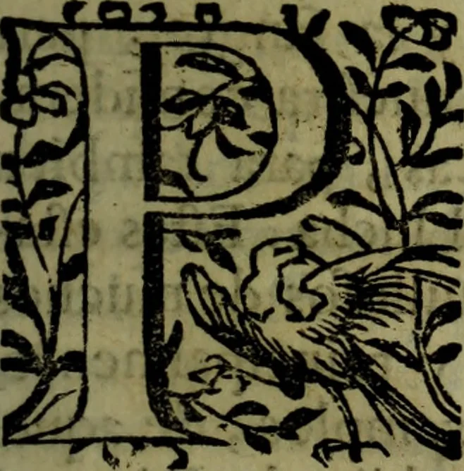 An illustration from Quinze tratados : en los quales se contienen muchas y muy excelentes consideraciones para los actos generales que se celebran en la sancta iglesia de Dios, muy provechosos para todos los fieles christianos, 1602, leaf 602
