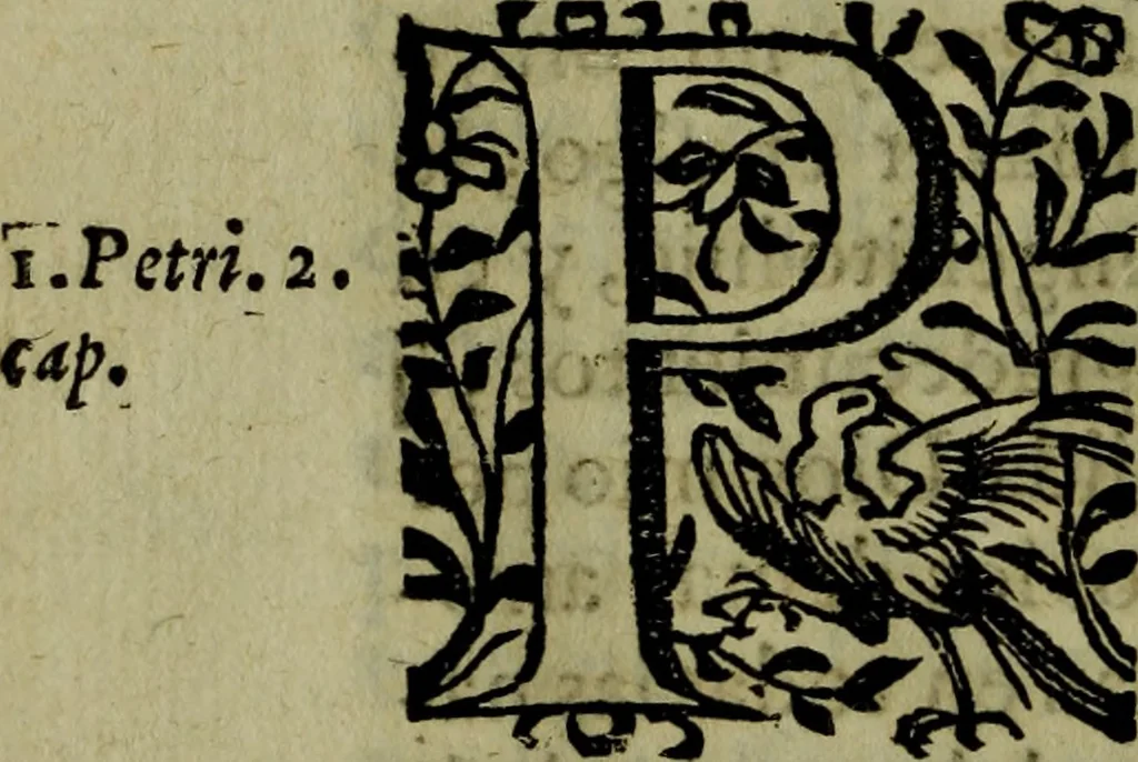 An illustration from Quinze tratados : en los quales se contienen muchas y muy excelentes consideraciones para los actos generales que se celebran en la sancta iglesia de Dios, muy provechosos para todos los fieles christianos, 1602, leaf 615