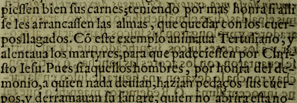 An illustration from Quinze tratados : en los quales se contienen muchas y muy excelentes consideraciones para los actos generales que se celebran en la sancta iglesia de Dios, muy provechosos para todos los fieles christianos, 1602, leaf 619