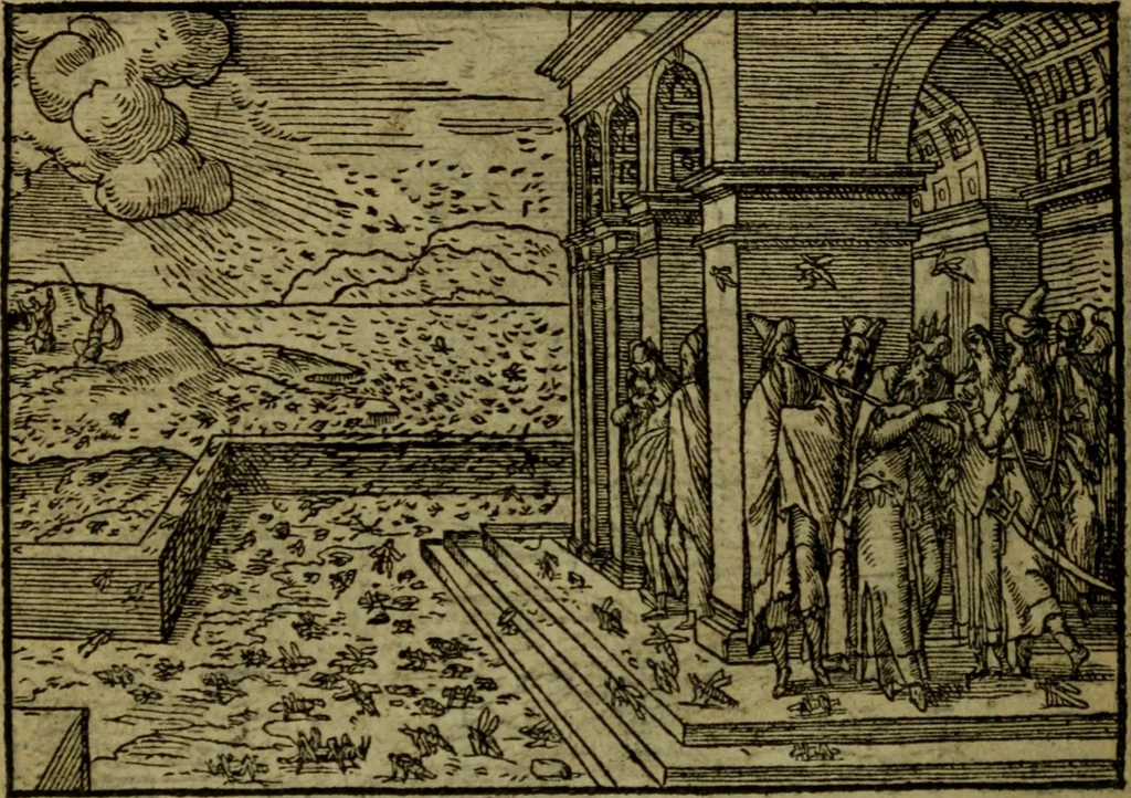 An illustration from Qvadrins historiqves de la Bible, 1558, leaf 103